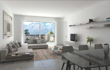 2.5 Room Apartment with Garden in Camorino